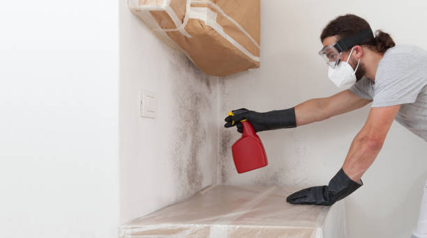 Professional Crawl Space Mold Remediation technician working in Broad Top, PA