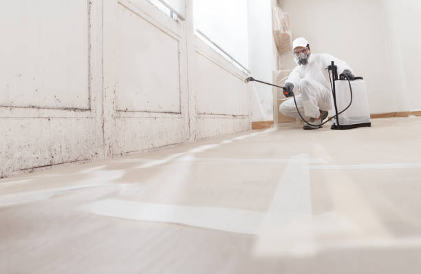 24/7 Emergency Crawl Space Mold Remediation experts in Broad Top, PA