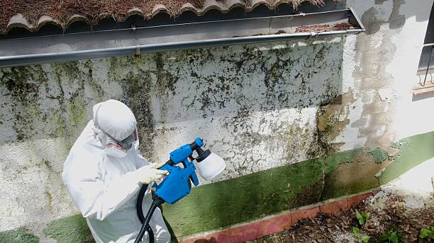 Top rated local Crawl Space Mold Remediation specialists in Broad Top, PA